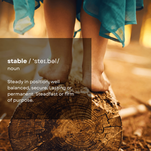Balancing on a log showing Financial Stability through Independent Financial Planning in Cheshire