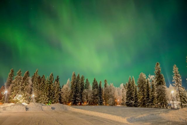 Stunning aurora borealis over snowy forest in Boden, Sweden at night